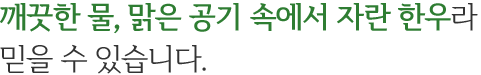선물세트