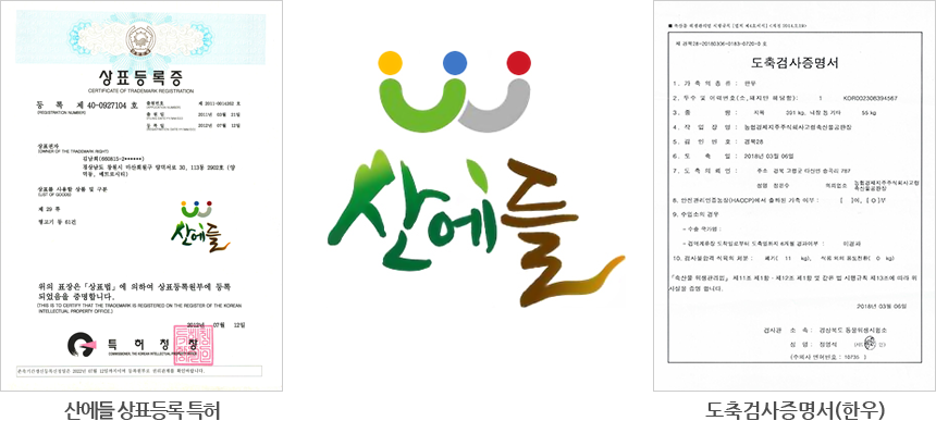 ǥ, ˻
